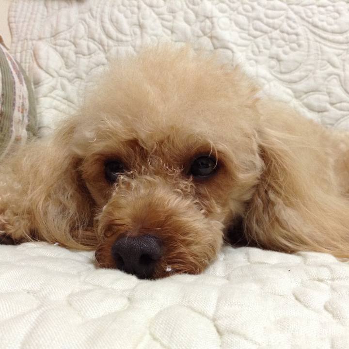 Fa7df58c 1bbc 4698 8474 9c856be74c9d