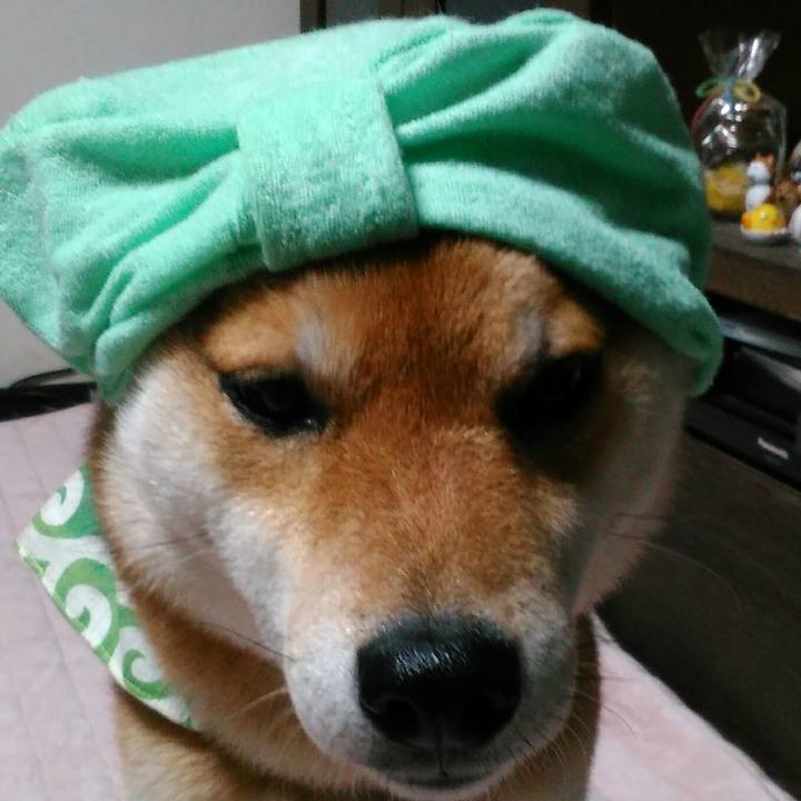 Fa7e11ef 68ef 4674 ad20 1daffab89094