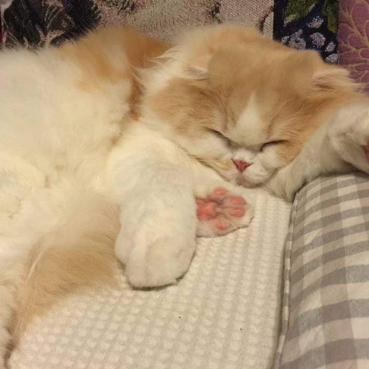 Fa7e7106 5792 46b9 a949 1b30d4b9d463