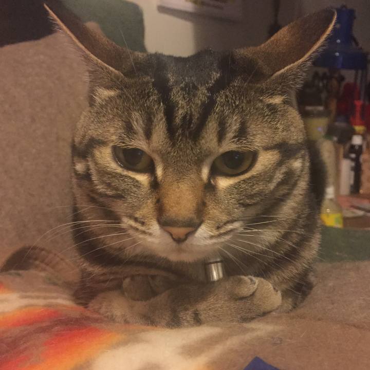 Fa7ee110 980b 46ca 9f50 e9183e6632da