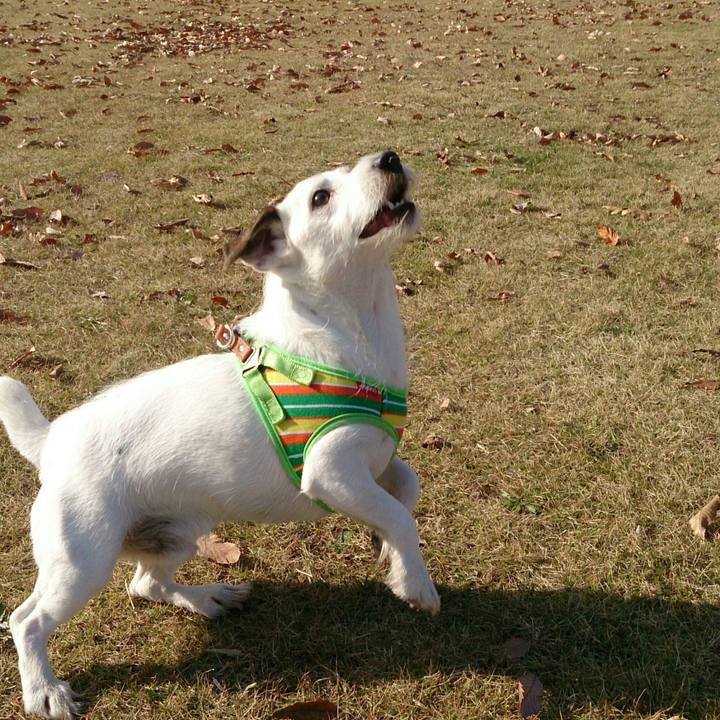 Fa7f7560 e206 4ddd 8cb7 e49edfafe467