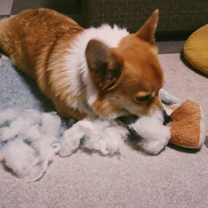 Fa7f773f 6437 4b14 b7c7 a74030b9a008