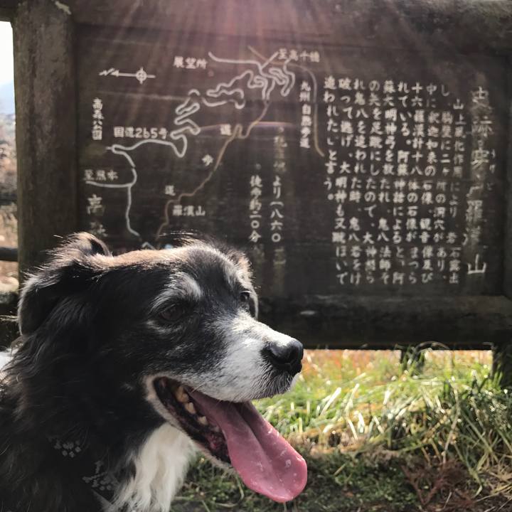 Fa8038c3 6fea 43cf acfa b714026c49fa