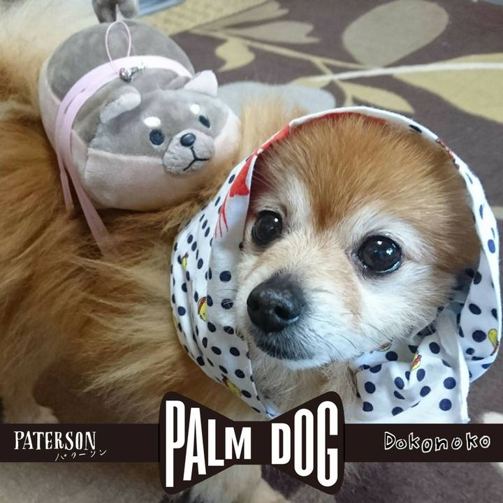 Fa80668a 10b6 4c4a 831d 3fb36c8079e2