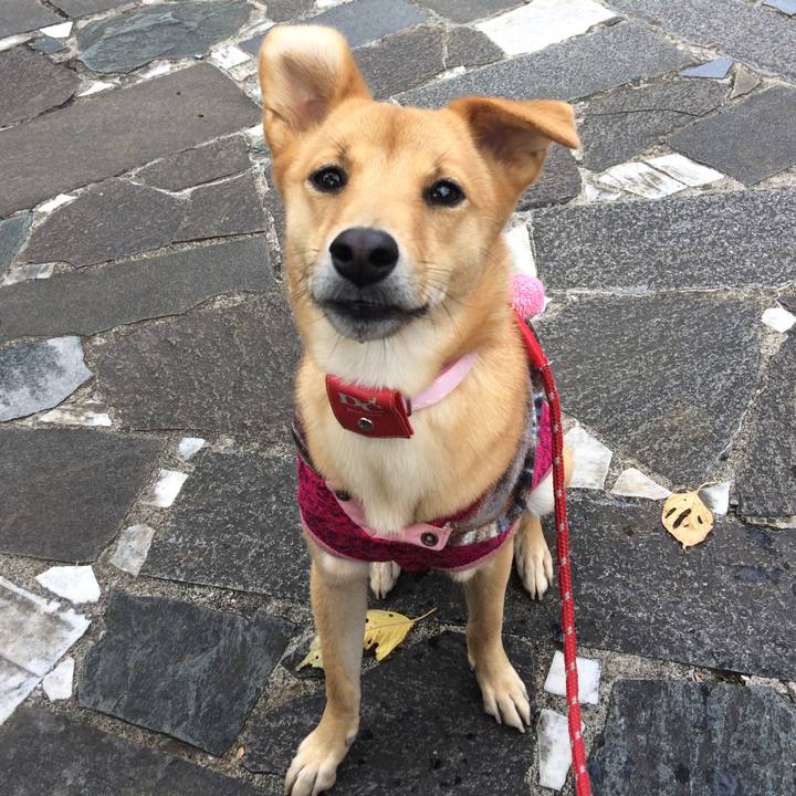 Fa80c915 6ecc 4a03 9117 d22d88a75149