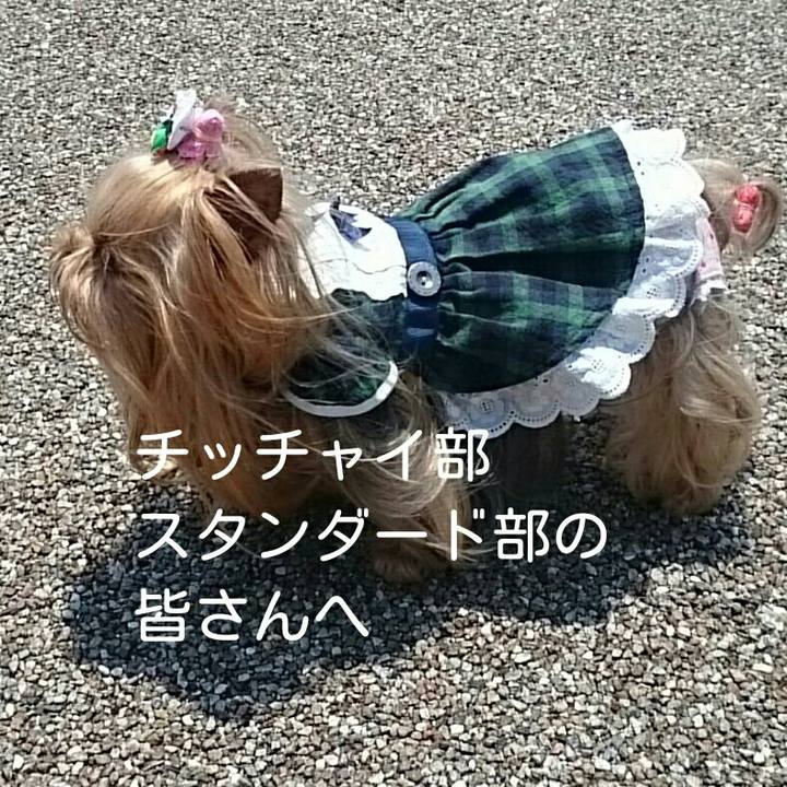 Fa80f598 0e37 4877 a306 ece6aef5dd24