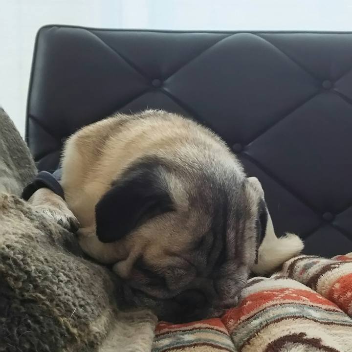 Fa813b58 d329 4e45 8223 0e341c069b5a