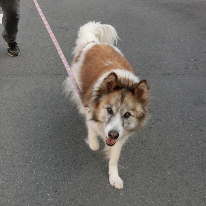 Fa831104 b0fc 4764 8a2f 9ed773063fb2