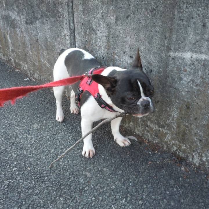 Fa839574 f31e 459a b4b2 08314ae4f56b