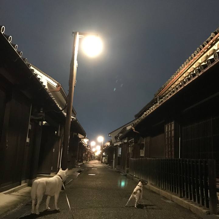 Fa842e6b bba7 470a 991a cc603616837d