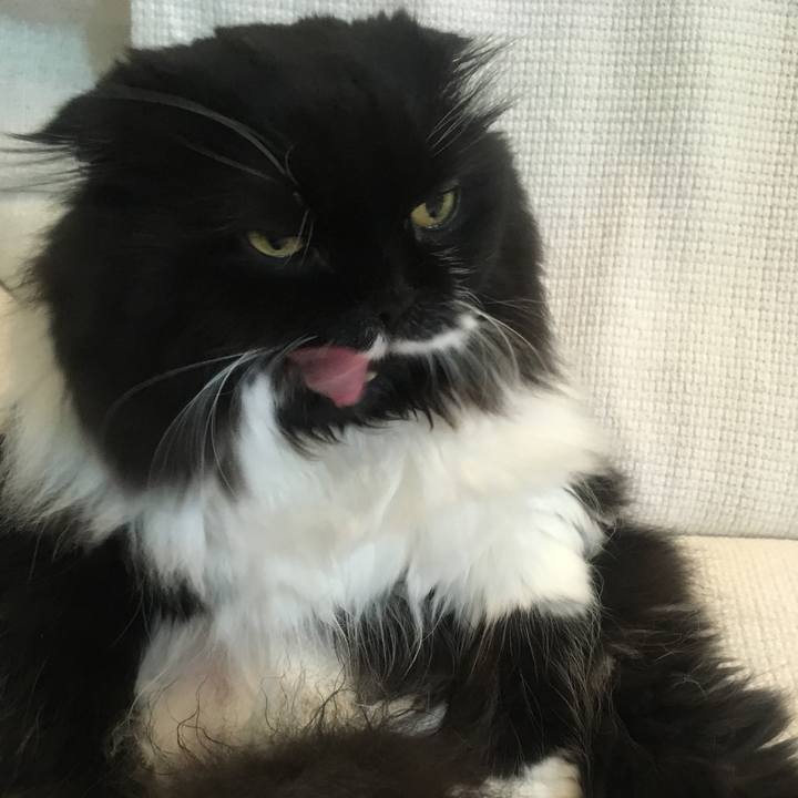 Fa843fcf 05c5 4576 9ff1 e5ff944ebb22