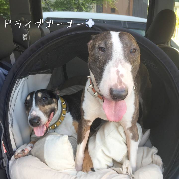 Fa847512 6415 4928 9280 9b6edbaf32ec