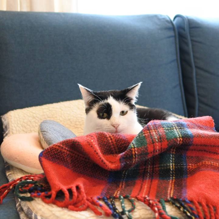 Fa847b68 7943 47ad b685 bea7e69e0c3c