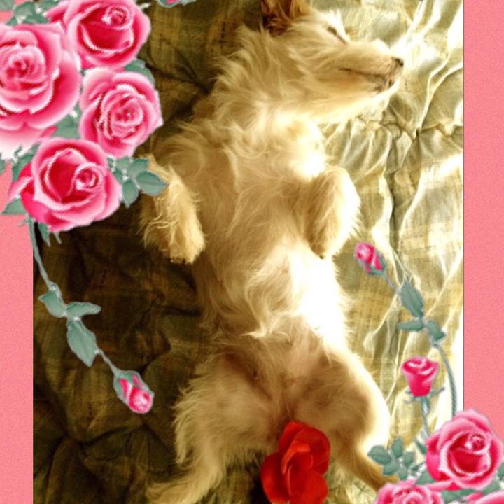 Fa84b6c7 5699 4ed2 b5cd cab19cf3be49