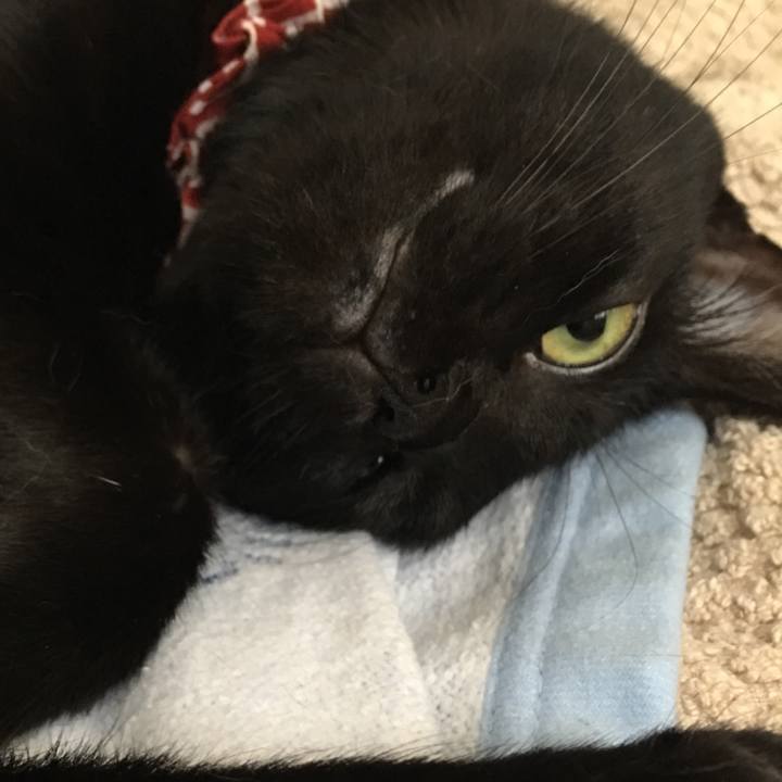 Fa867ce2 1400 46b5 abd8 260449a4dac2