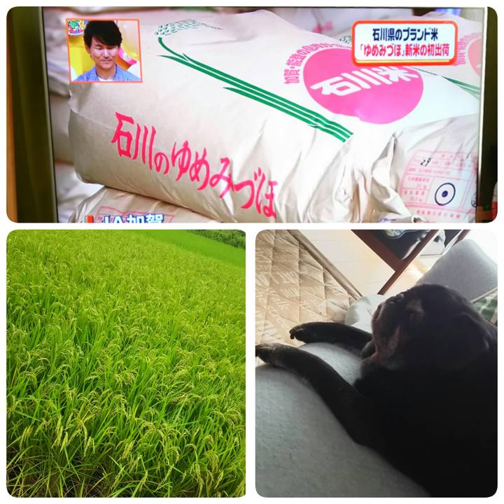 Fa868154 7c25 44a2 9c36 b79c01afecd0