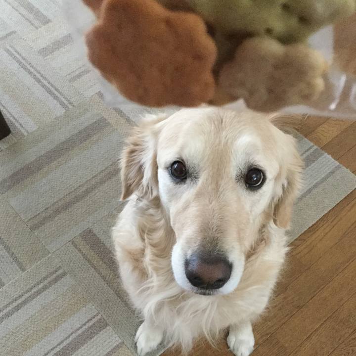 Fa869961 cb6c 48d6 9918 7dbd08f6ea08