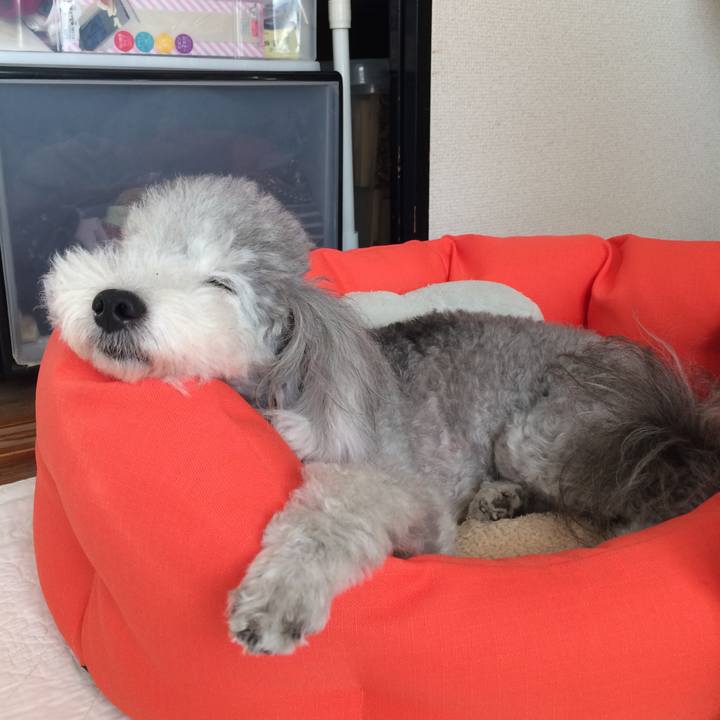 Fa879707 0848 470c abd3 e753748e3b6e