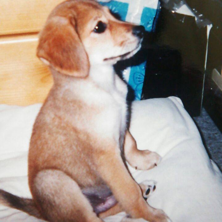 Fa879fcd d975 4884 904a 548fe83e4b09