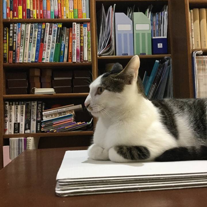 Fa881553 3d50 4321 bd2f b7a0ff473301