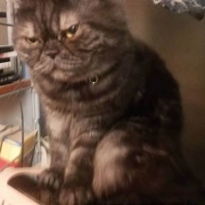 Fa885fd7 6a73 4249 9905 9c356d155813