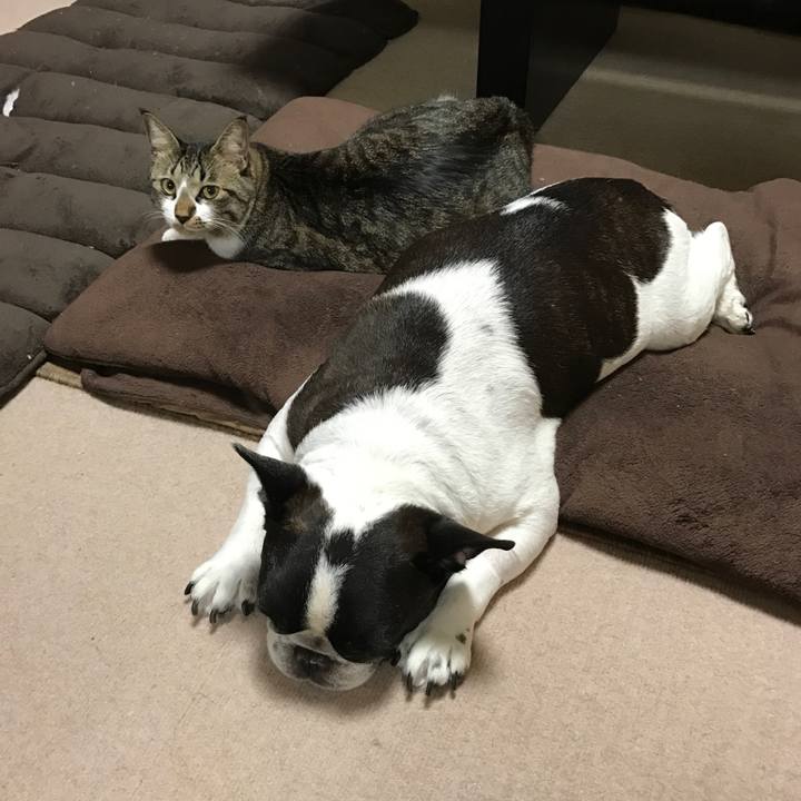 Fa88d617 ce2b 41d9 b5d3 e829a101ba7f