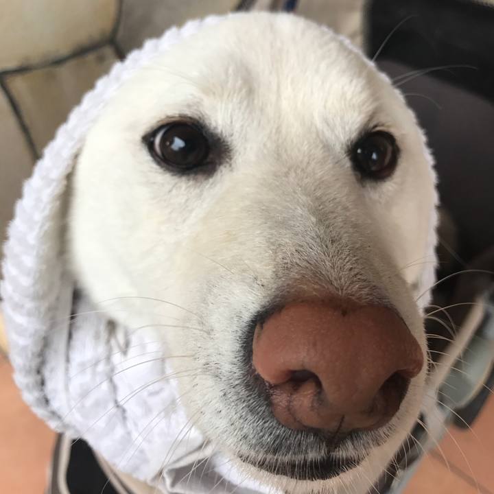 Fa8907ec bfe3 44f4 9823 bccdc721e0fe