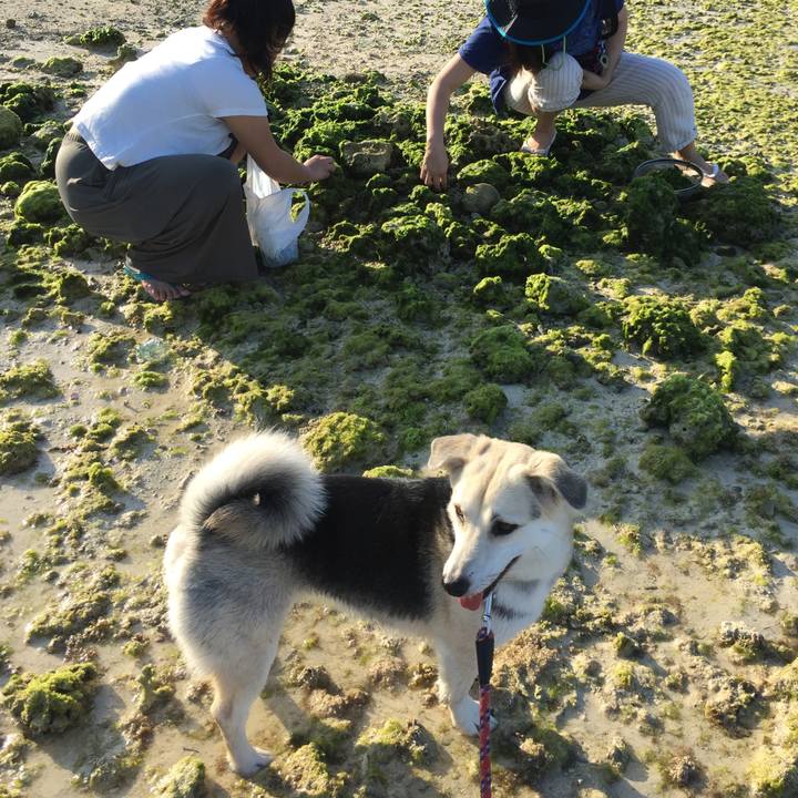 Fa8929f6 d34b 4844 8e7d c6279513f95c