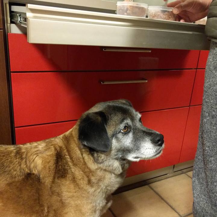 Fa893387 ebb6 423d b502 c300fcd876c7