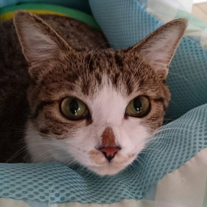 Fa899e61 f0f1 4011 9999 47cbbb5a762e