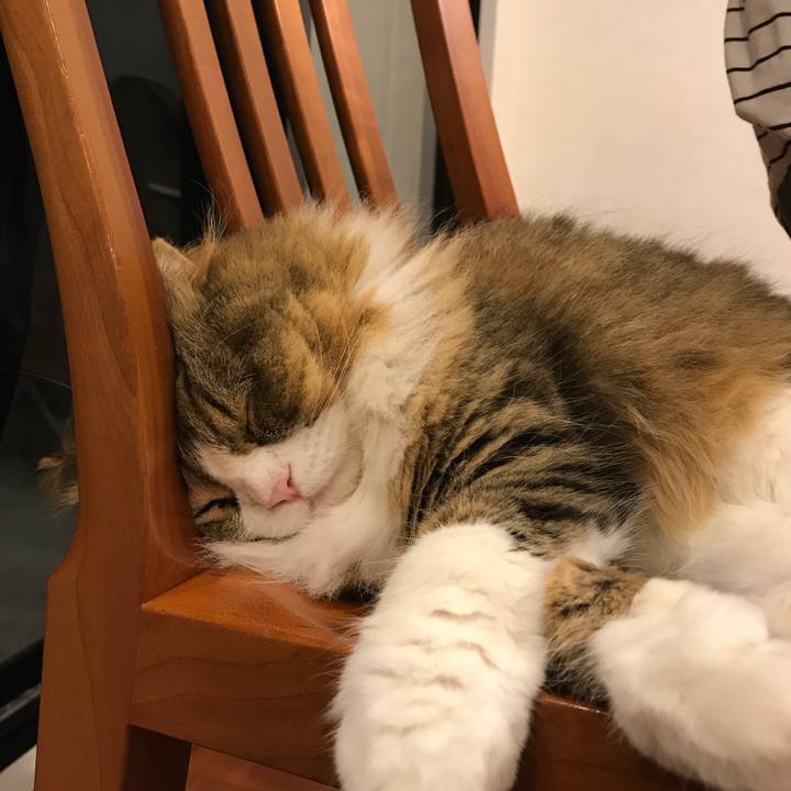 Fa8a10db 2b80 46a0 9f2b a41abd9a3303