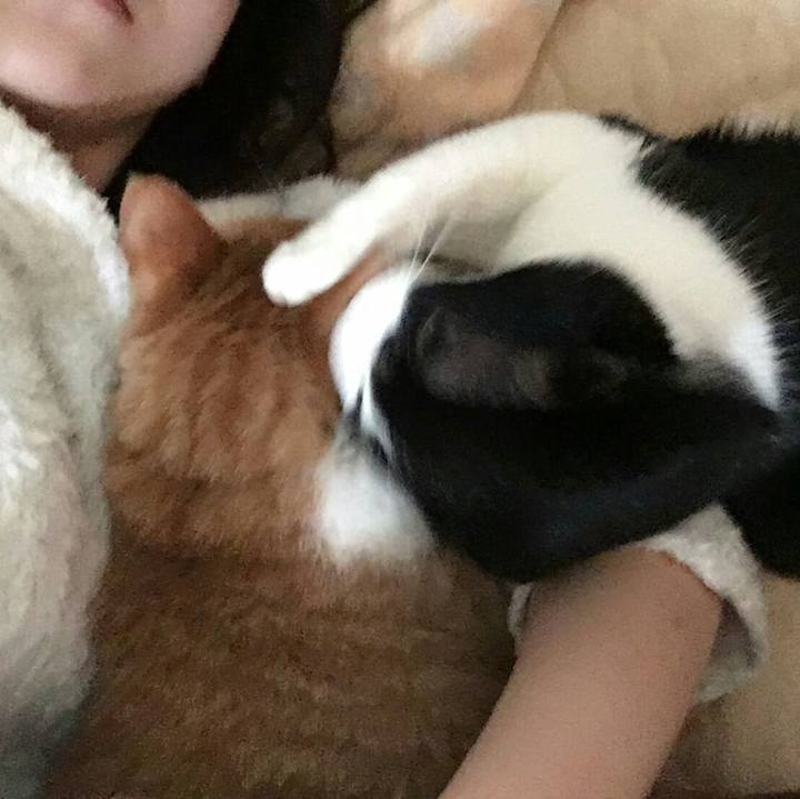 Fa8b663d 69d7 4672 bbcb 29ba64268ed8