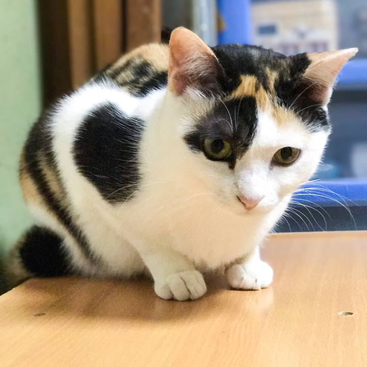 Fa8bba6b 9406 4d8b b90b 2cd5e158d280