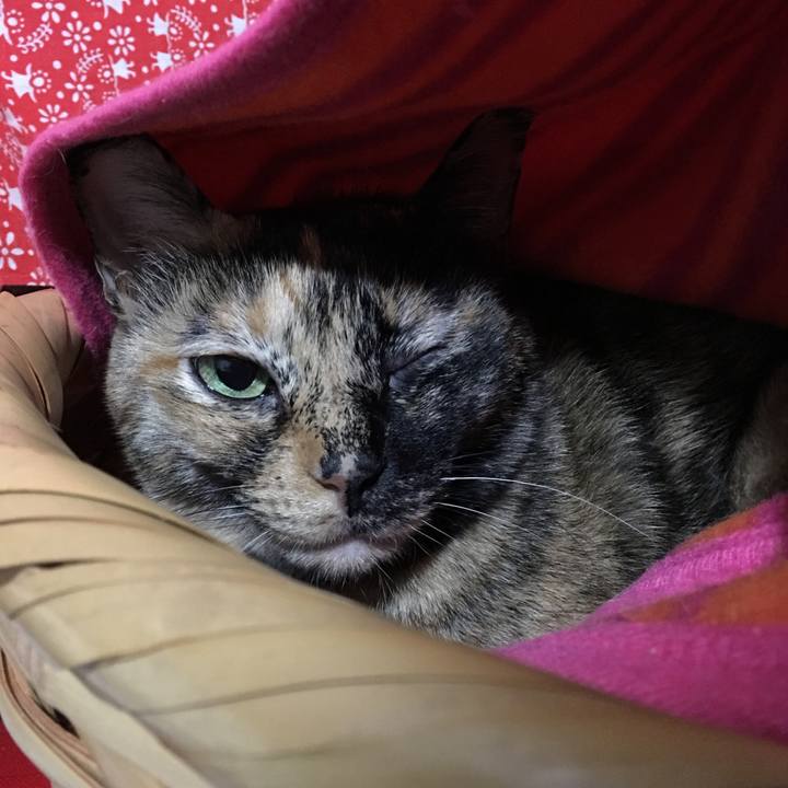 Fa8c97f6 2623 4f5b b480 8e3eec429f01