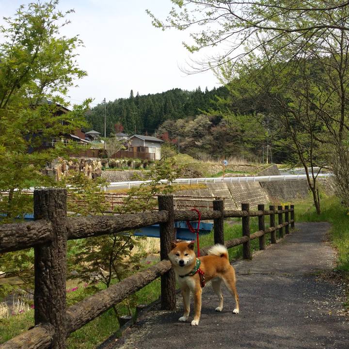 Fa8cd04d 99f7 46b1 9505 726384e29afa