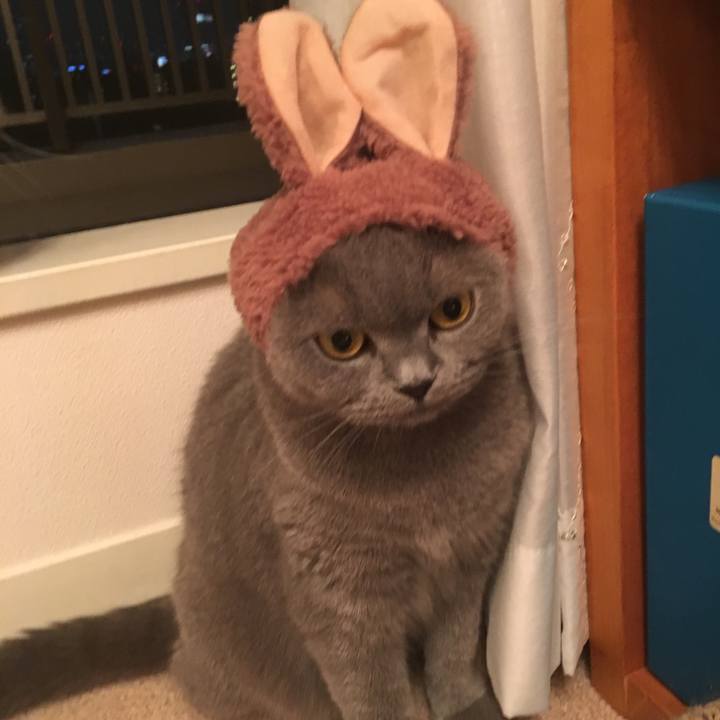 Fa8d4bc1 8bb4 4c90 b3a7 5137ca97edc5