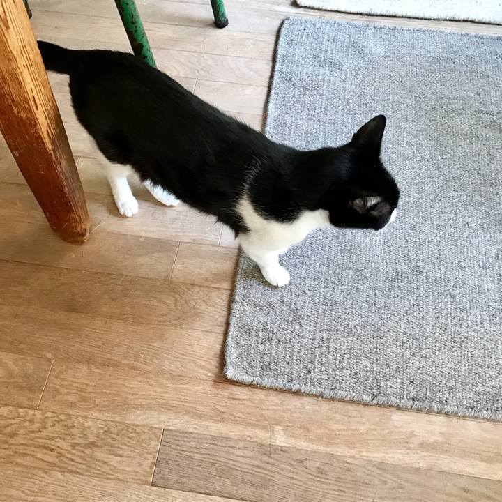 Fa8d74ab 0161 49e6 92f8 5d7a0c778310