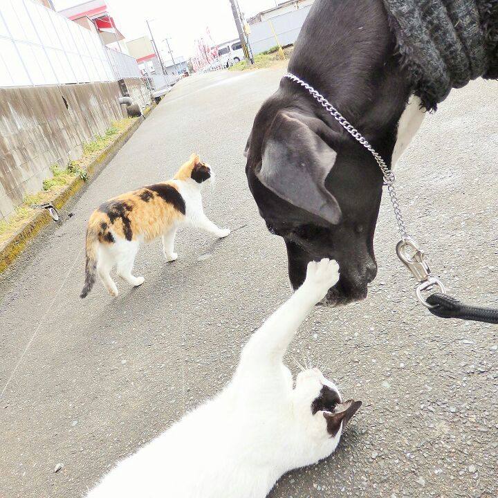 Fa8d942f 96ee 4570 88c4 fed20445f49a