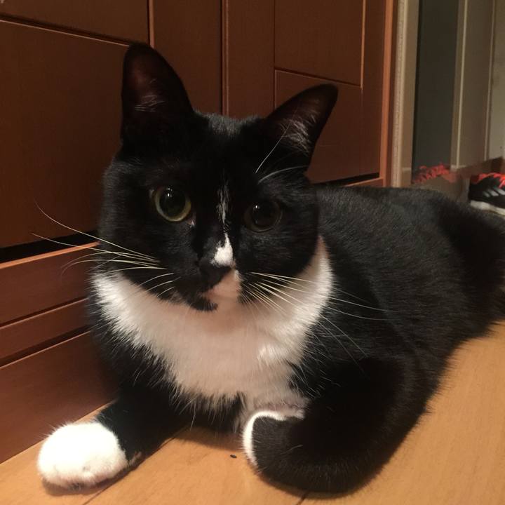 Fa8daa98 10ef 48b9 8df8 a53b1ed0f914