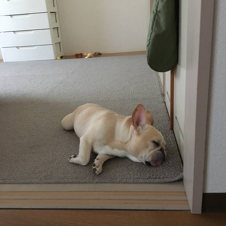 Fa8dc5da fe81 4a67 b1ca 31ed5715771a