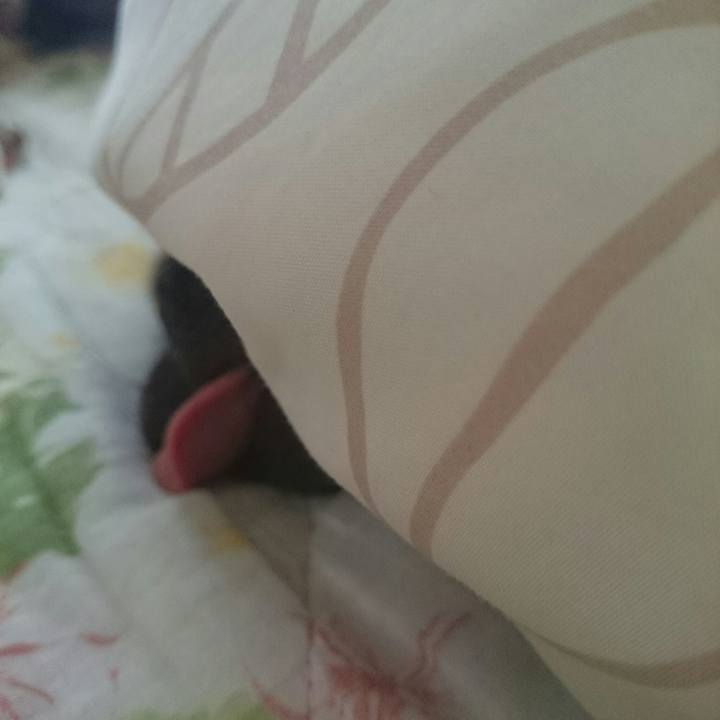 Fa8dc8a9 abc5 47ab be1e 3d68863221f3