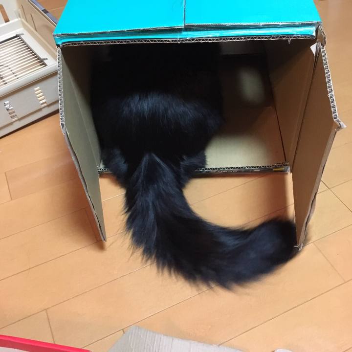 Fa8e1509 dbe9 43ca 93d7 10372850ca91