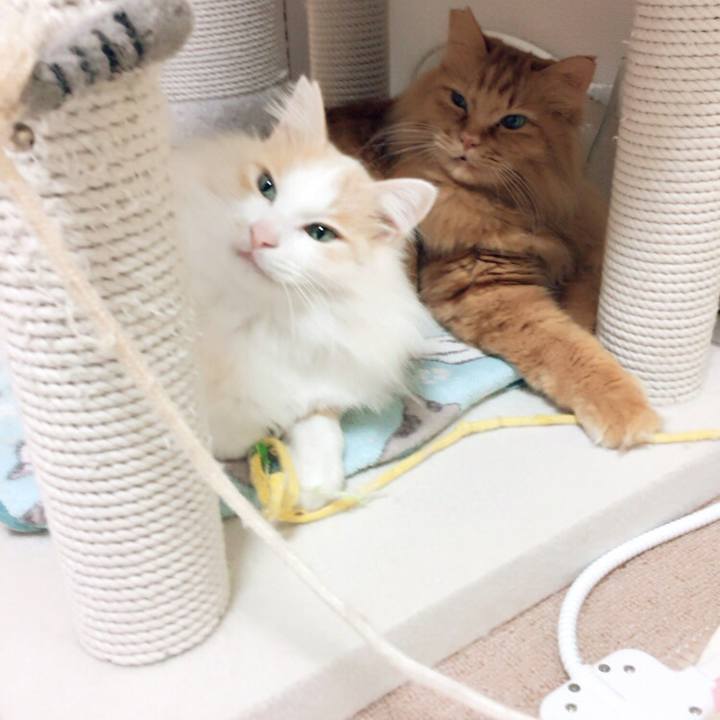 Fa8e1d0b 3ee2 4cfb b6e1 8fdc43b6fd20