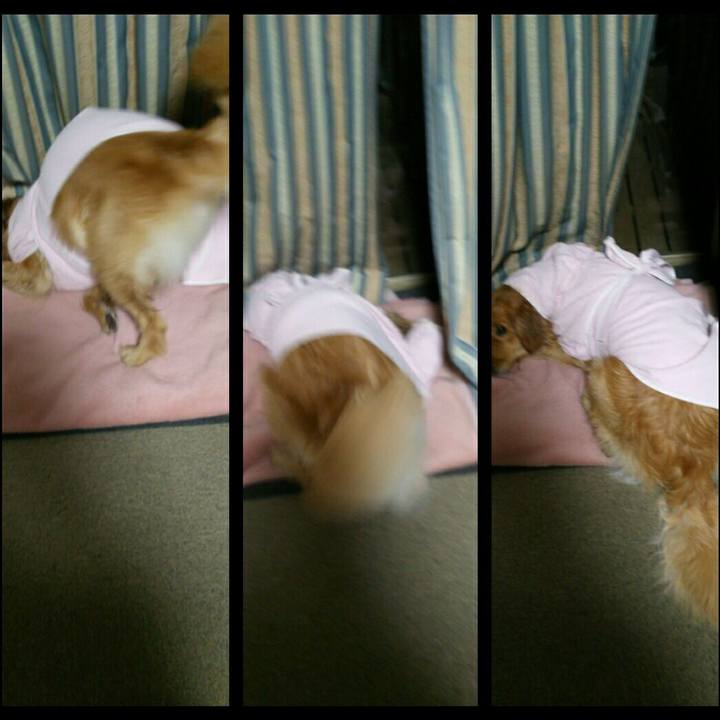 Fa8ef0bc 5913 4b16 9b51 6cf4f73e384c