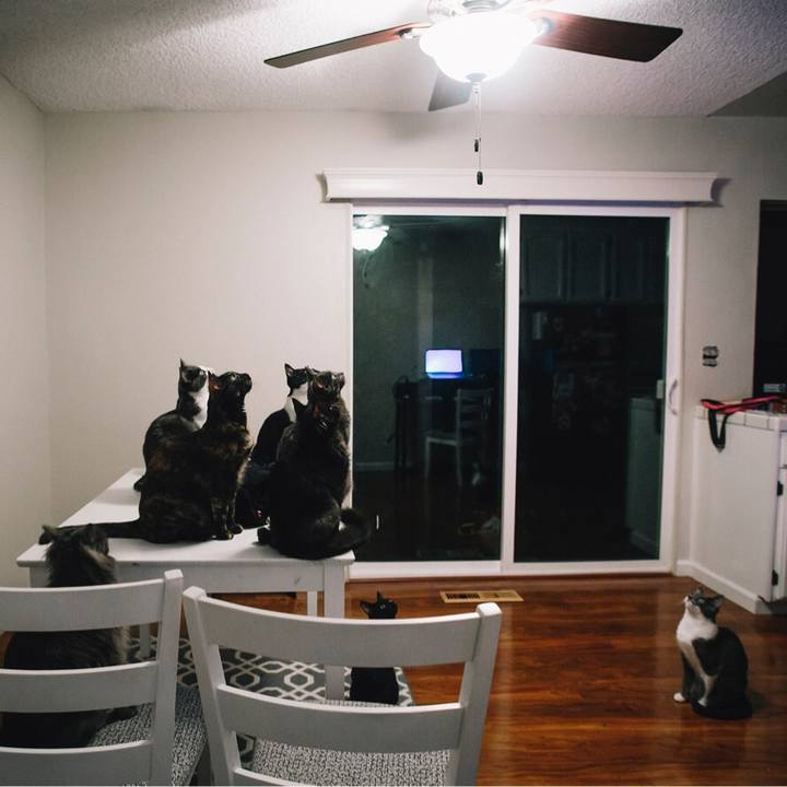 Fa8f04f4 f9b6 40ec b690 df21d7ae5e0f