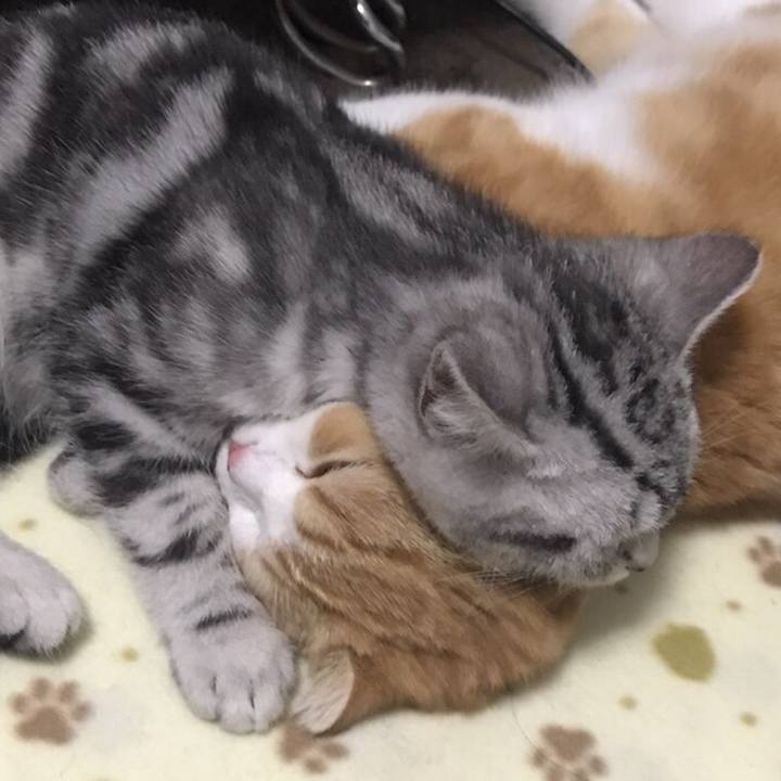 Fa8f2af9 b8da 4c04 ad50 d288657cc967