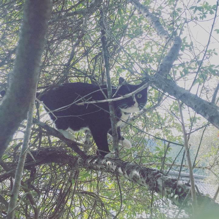 Fa8f8d36 ba30 4997 8d48 b59b6a0f604f