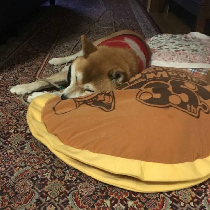 Fa8fd346 d221 4b95 9dce 7ea1990f777b