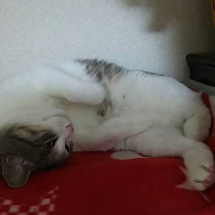 Fa9054ec 0b8d 4d61 83b6 baa5ea81703c