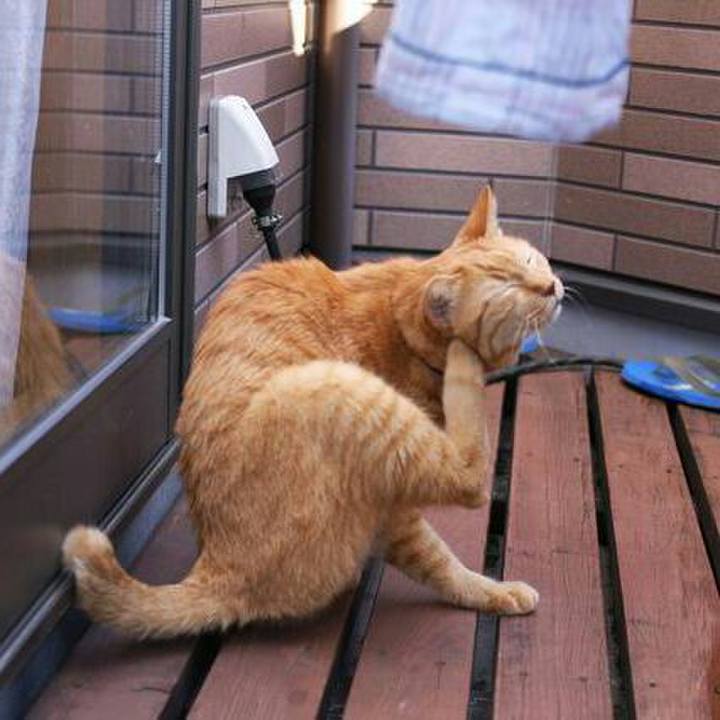 Fa91a8b5 d3d1 4012 8b61 79aafc4202eb